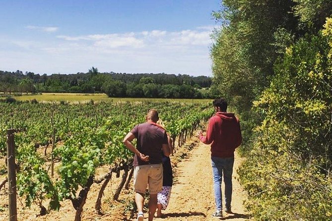 Sa Clasta Mallorca Wine Tours - A Mallorca wine morning that stays human
