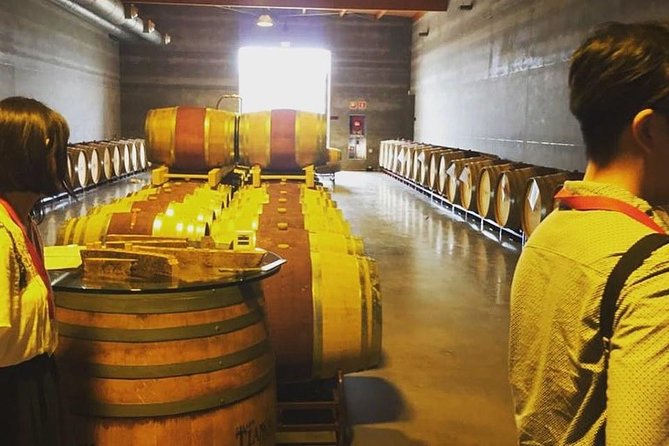 Sa Clasta Mallorca Wine Tours - Winery #1: older Mallorca character, cellar tours, and serious tasting