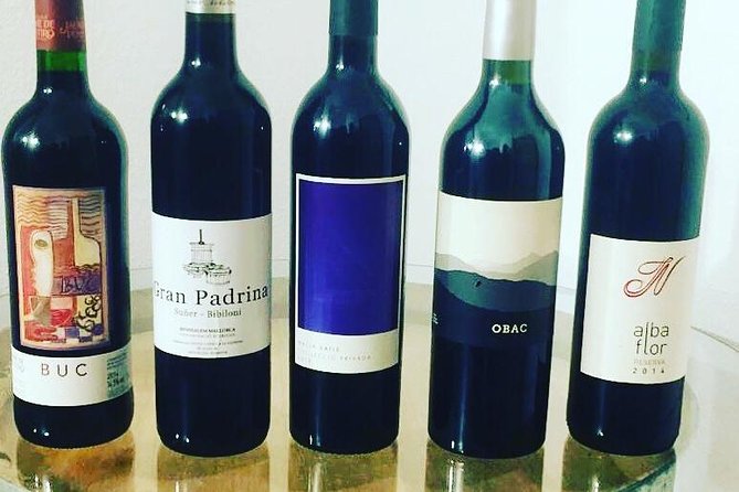 Sa Clasta Mallorca Wine Tours - Winery #2: micro vineyard energy and views you will want to remember