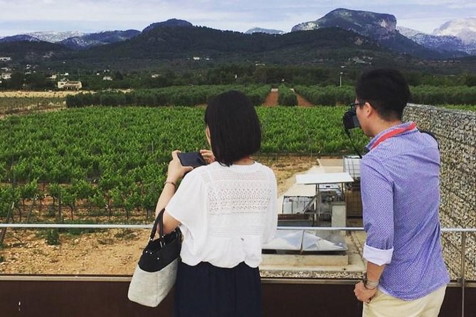Sa Clasta Mallorca Wine Tours - Two winery stops in the heart of Mallorca: what that means for you