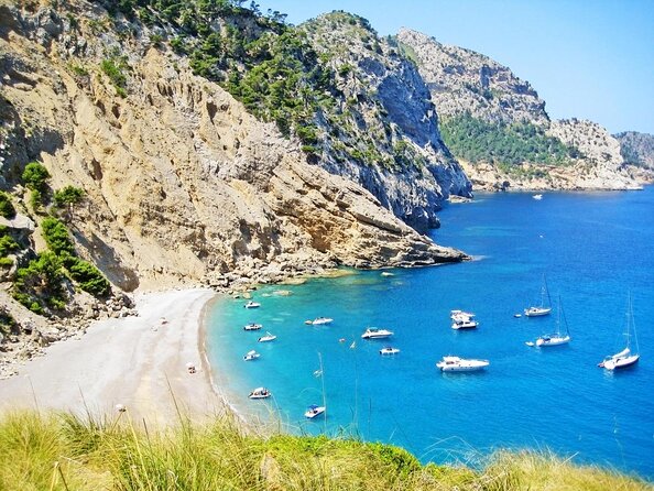 Safari Alcudia Jack Sparrow cave tour 90MIN - Key highlights worth clocking before you go