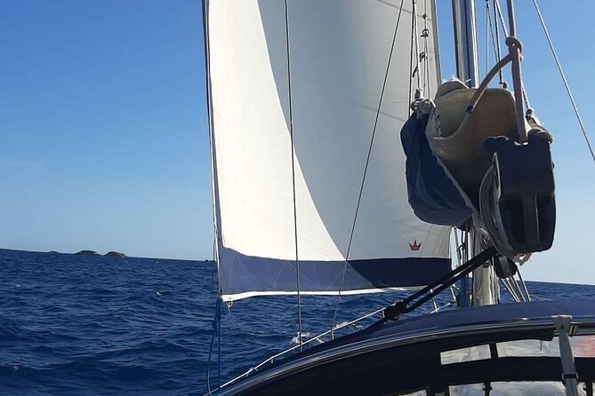 Sailing Trip in Santa Ponsa - Cala Fornells swim break, calm cove energy for a 30-minute reset