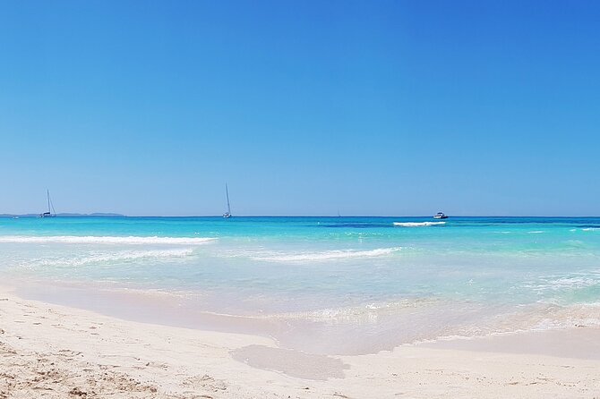 Salobrar Natural Park - Es Trenc Beach - Key highlights to know before you go