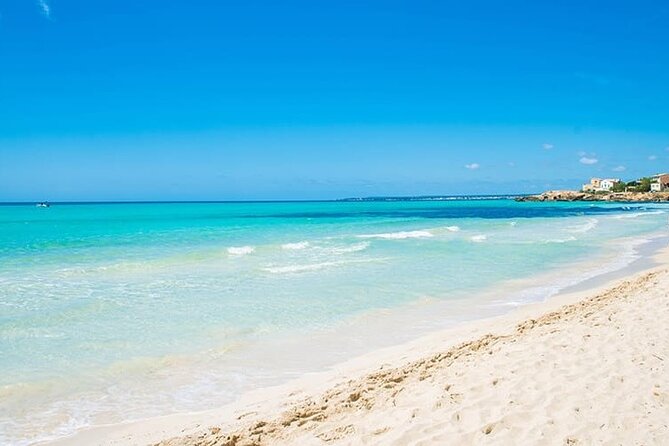Salobrar Natural Park - Es Trenc Beach - Why Salobrar Natural Park and Es Trenc feel like a full experience