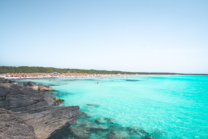 Salobrar Natural Park - Es Trenc Beach - Lunch in La Rapita and Ses Covetas, or eat on the sand