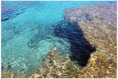 Salobrar Natural Park – Es Trenc Beach