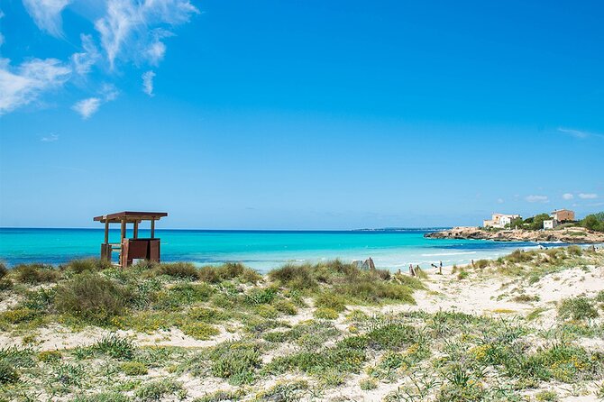 Salobrar Natural Park - Es Trenc Beach - Price and comfort value around $45