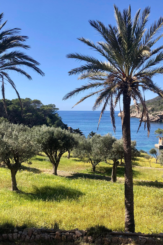 Sant Elm: Guided kayak tour to the Island Dragonera & Hiking - Why kayak plus hiking on Dragonera is a smart pairing
