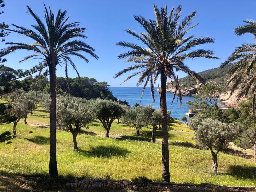 Sant Elm: Guided kayak tour to the Island Dragonera & Hiking - Sant Elm shoreline time: bringing the day full circle