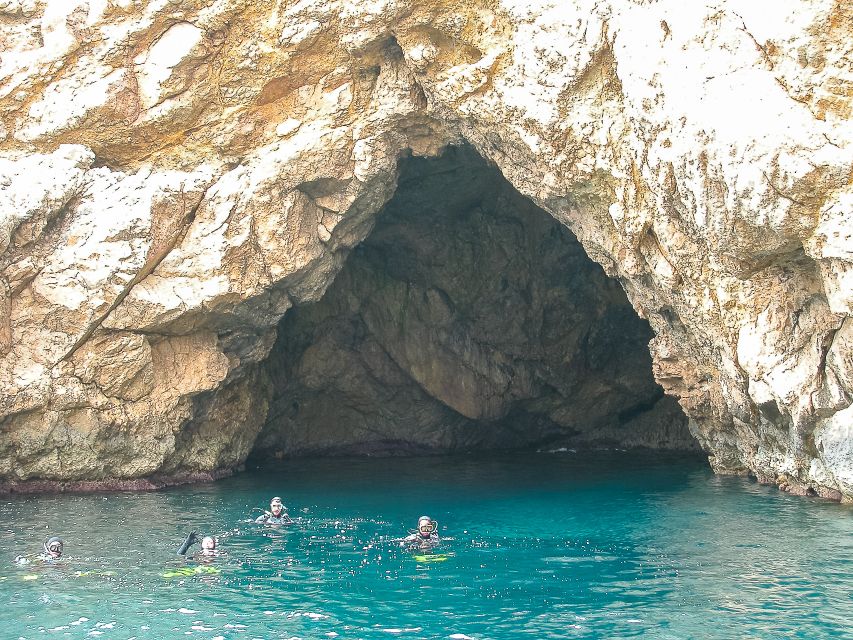 Santa Ponsa: Snorkeling Tour in a Marine Reserve - Key things I’d watch for before you go