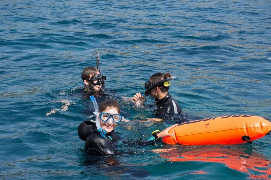 Santa Ponsa: Snorkeling Tour in a Marine Reserve - Gear, wetsuits, and safety briefings: comfort that actually changes the experience