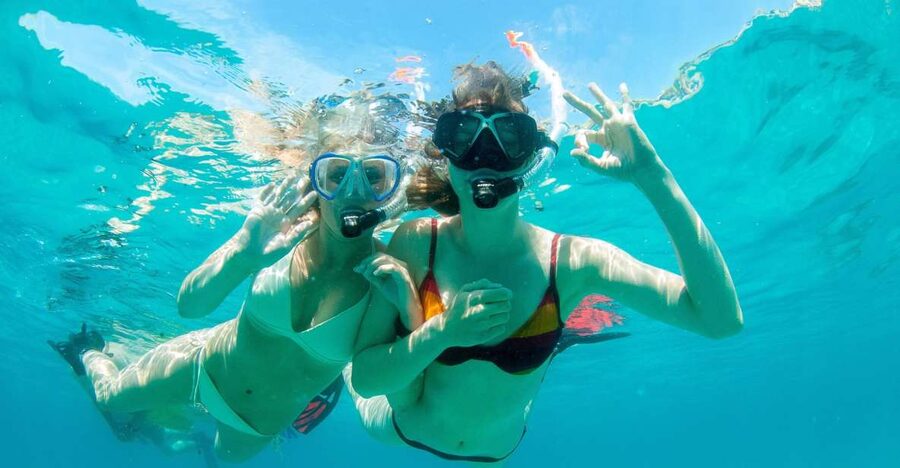 Santa Ponsa: Snorkeling Tour in a Marine Reserve - The schedule that makes it work: van time, briefing, snorkel window, and drop-offs