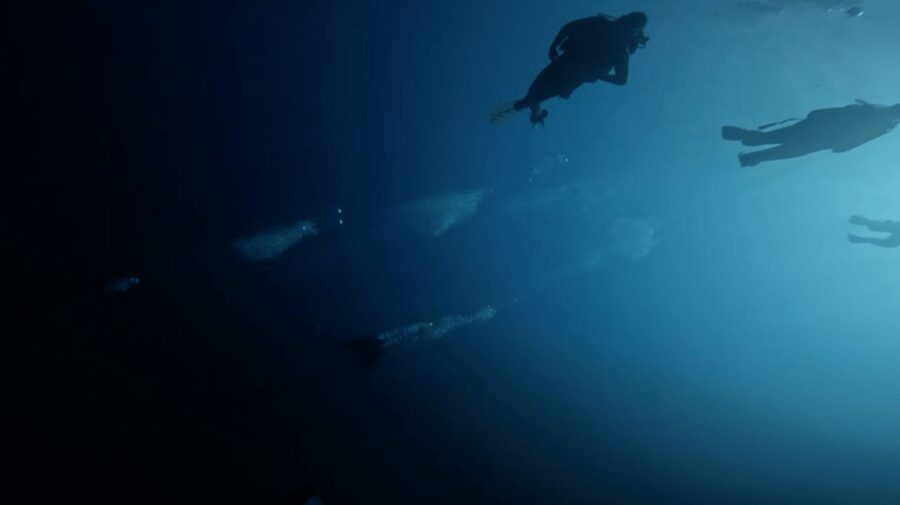 Scuba Diving - Dive for certified divers - Hotel Pickup, Gear Prep, Then You Are Off to the Water