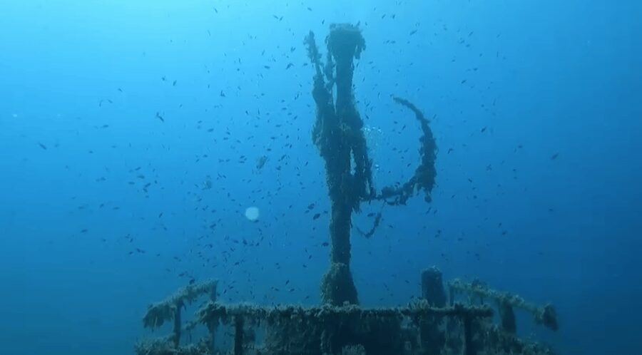 Scuba Diving - Dive for certified divers - The Underwater Location: It Changes with the Sea