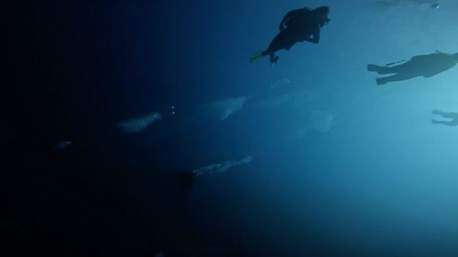 Scuba Diving - Dive for certified divers - The Photo and Video Keepsakes (GoPro Included)