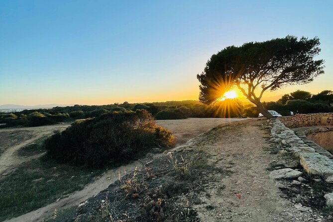 Self-guided Walking Tour and Outdoor Escape Game in Cala Millor, in German - Connecting the clues: Nazi-gold, camping, and ghost hunters