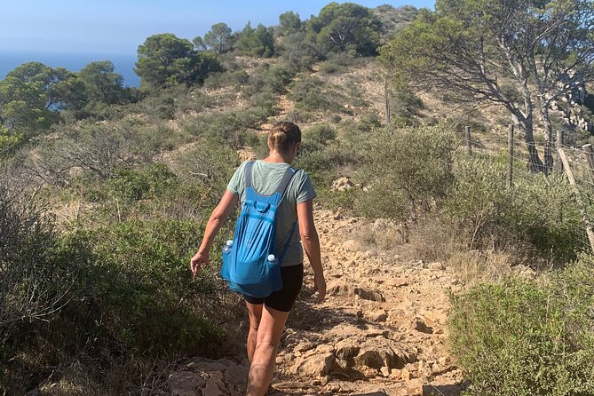 Sierra de Tramuntana hike with small picnic - Weather and the pace: how to set expectations before you go