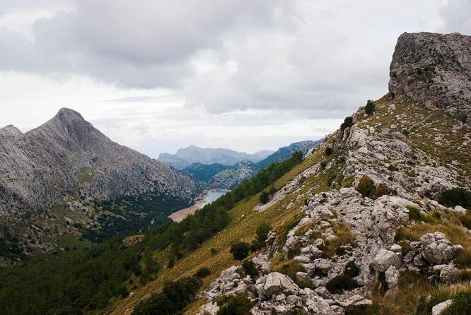 Small-Group Cliff Jumping Experience in Mallorca - The Serra de Tramuntana Stop: Climbing, Abseiling, and Jumping Options