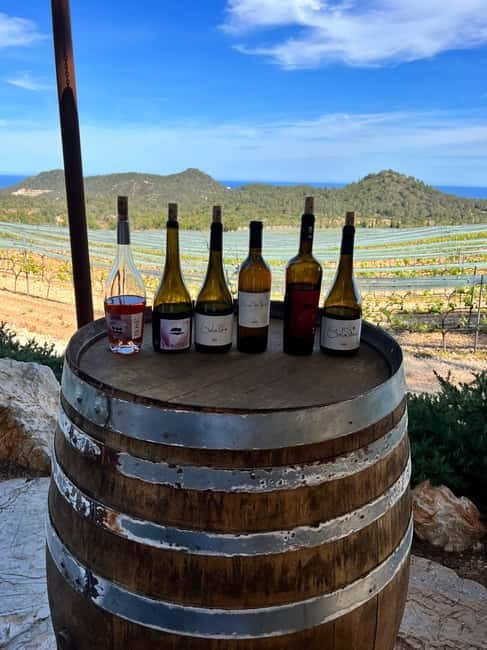 Small group- Exclusive Olive Oil & Wine Tour Mallorca - What to Pack, What to Expect During the Day