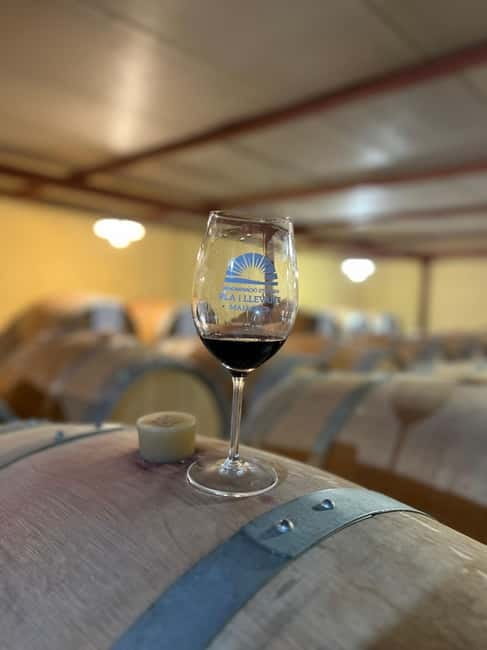 Small group- Exclusive Olive Oil & Wine Tour Mallorca - Why the Wine History Lesson Actually Helps Your Palate