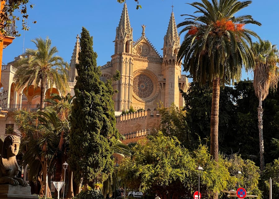 Small group- Exclusive Olive Oil & Wine Tour Mallorca - Food Pairings That Make the Tastings Feel Like a Meal
