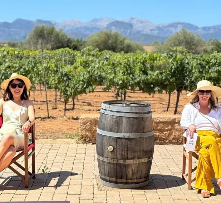 Small group- Exclusive Olive Oil & Wine Tour Mallorca - Hotel Pickup, 7 Hours of Taste, and a Group Size That Changes the Feel