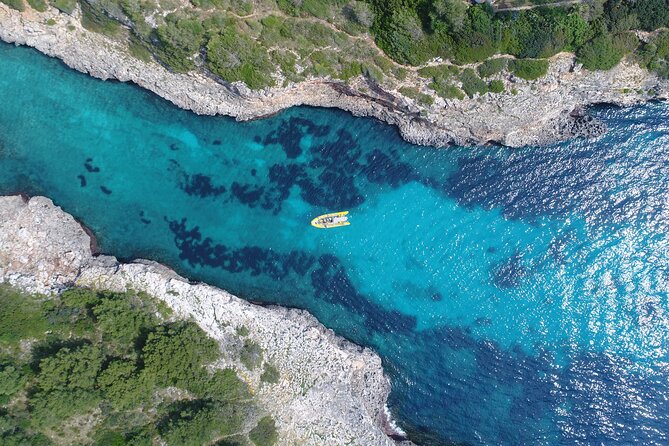 Snorkeling in the Natural Park of Mallorca by boat - Your Snorkel Stop: Time to Swim, Relax, and Actually See Something