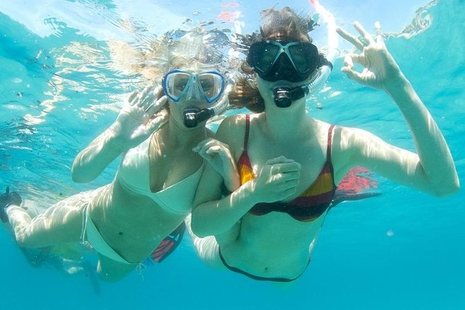 Snorkeling Tour to the Malgrats Islands by boat - Key highlights at a glance