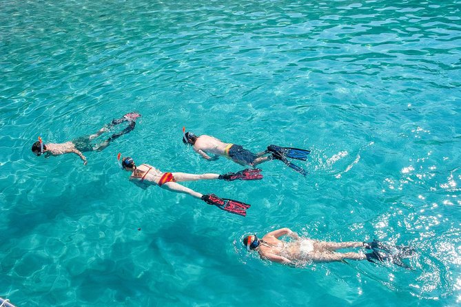 Snorkeling Tour to the Malgrats Islands by boat - Why the Malgrats Islands Marine Reserve makes snorkeling feel worth it