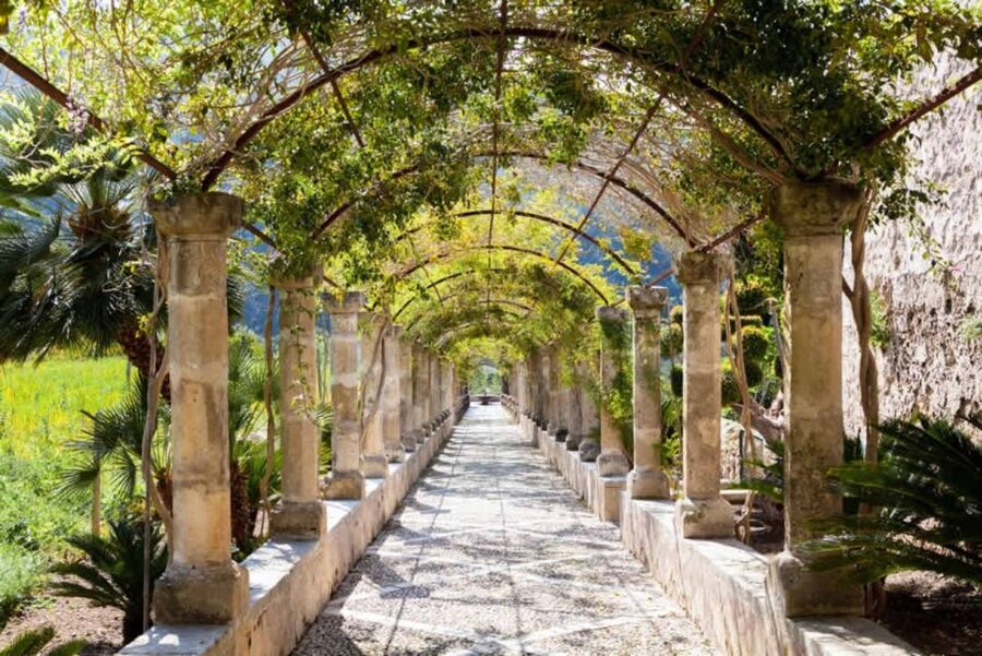 Sóller: Jardines de Alfabia Entrance Ticket - Getting there: bus from Palma and the Soller train option