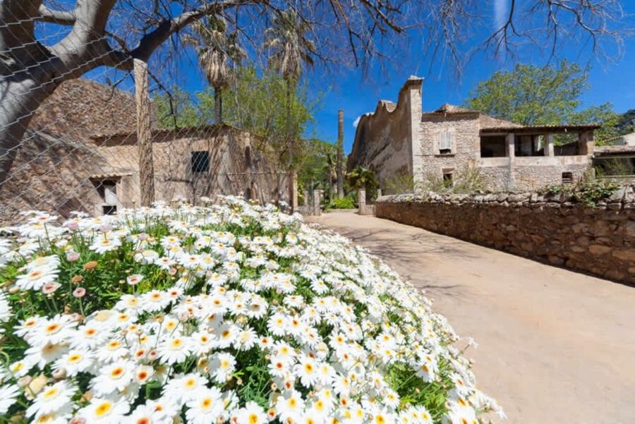Sóller: Jardines de Alfabia Entrance Ticket - Price and value: is $11 really enough for this day?