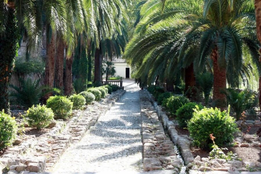 Sóller: Jardines de Alfabia Entrance Ticket - Who should book Alfabia, and who might feel underwhelmed