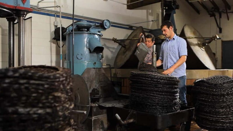 Sóller: Olive Oil Guided Tour and Tasting at Can Det Estate - Getting Your Day Right: When and How to Fit This In