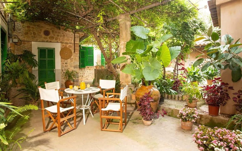 Sóller: Olive Oil Guided Tour and Tasting at Can Det Estate - The 400-Year-Old House and Garden Stop, What to Watch For