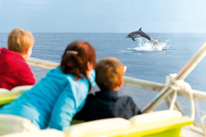 Sunrise Boat Trip in Mallorca with Dolphin-Watching - Sunrise on the Northern Coast: why Port dAlcudia is the smart launch point