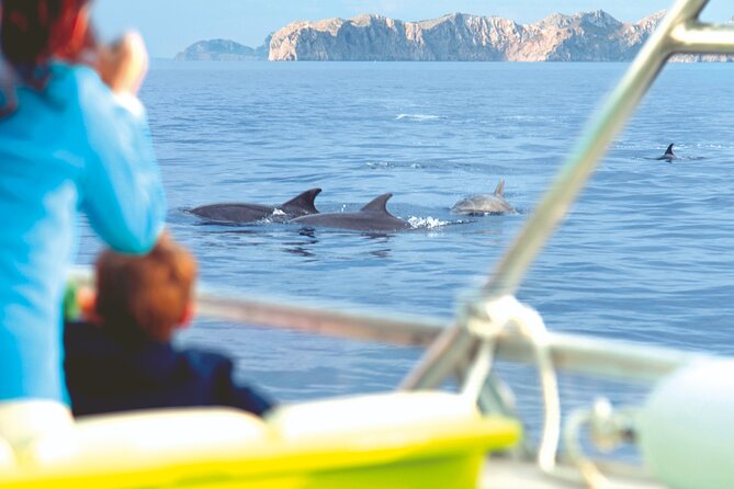 Sunrise Boat Trip in Mallorca with Dolphin-Watching - Seasickness, cold decks, and what to pack for a comfortable sunrise