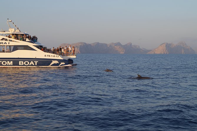 Sunrise Boat Trip in Mallorca with Dolphin-Watching - Breakfast onboard: simple, included, and part of the overall rhythm