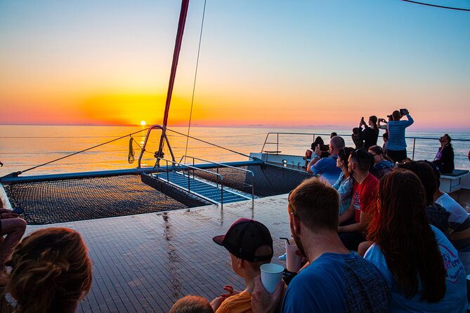 Sunrise Boat Trip in Mallorca with Dolphin-Watching - Crew and communication: what to expect with language and engagement