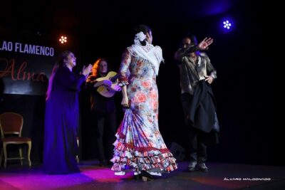 Tablao Flamenco Alma – Live Flamenco Show