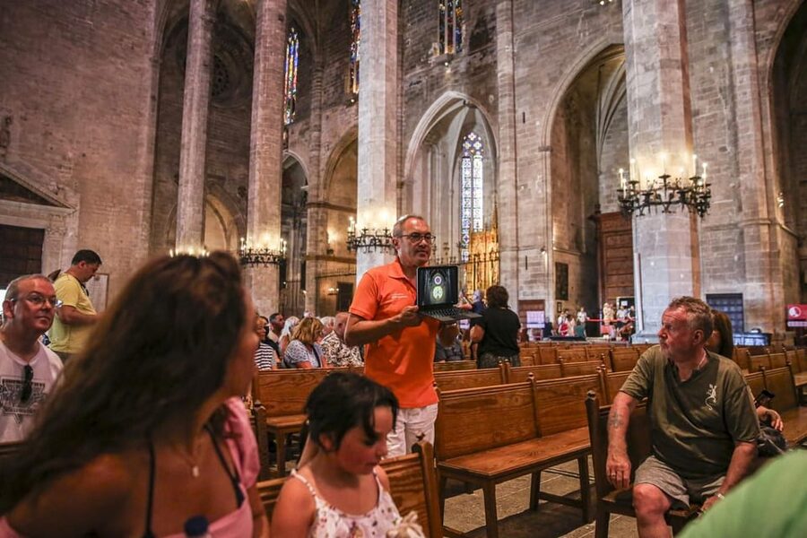The Best of Palma: Boat trip, Walking tour and Cathedral - Who This Tour Suits Best
