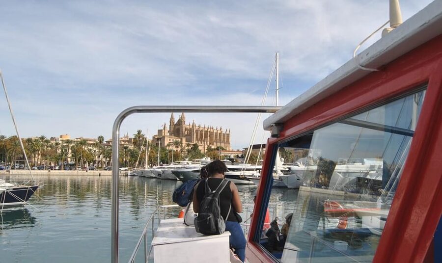The Best of Palma: Boat trip, Walking tour and Cathedral - Practical Tips to Make It Go Smoothly