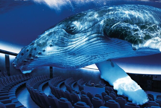 Ticket Palma Aquarium - Key things to know before you go