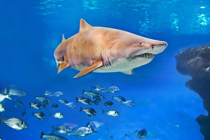 Ticket Palma Aquarium - Eight themed habitats, and why the variety matters