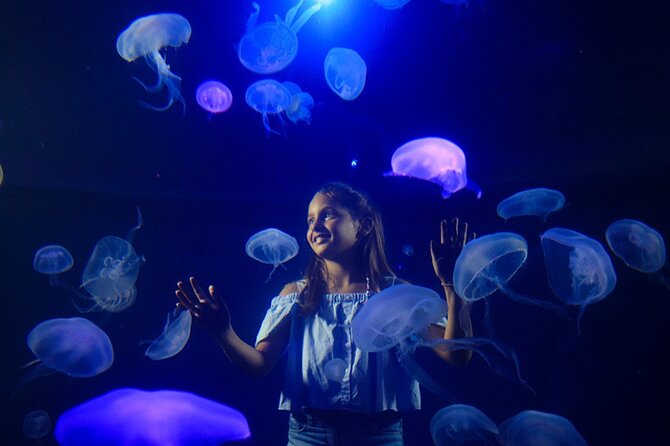 Ticket Palma Aquarium - Crowds and noise: how to enjoy it without losing your mind