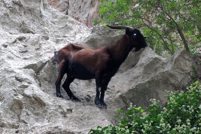 Torrent de Pareis - Stop 1: Torrent de Pareis, cliffs, scrambling, and why conditions matter