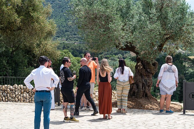 Tour to olive grove and olive mill, oil tasting and snack - Majorcan snack and lunch that is more than a side dish