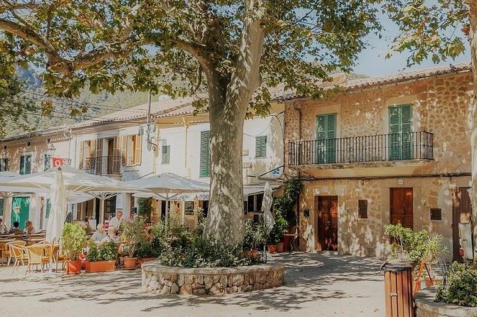 Valdemossa Half Day Tour - Key points to know before you go