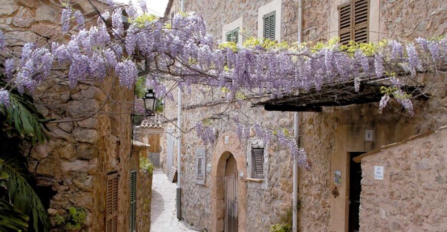 Valldemossa: Discover Valldemossa with a transfer from Palma - Key highlights you should care about