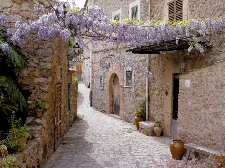 Valldemossa: Discover Valldemossa with a transfer from Palma - The guided walking tour: stone streets plus the key sights