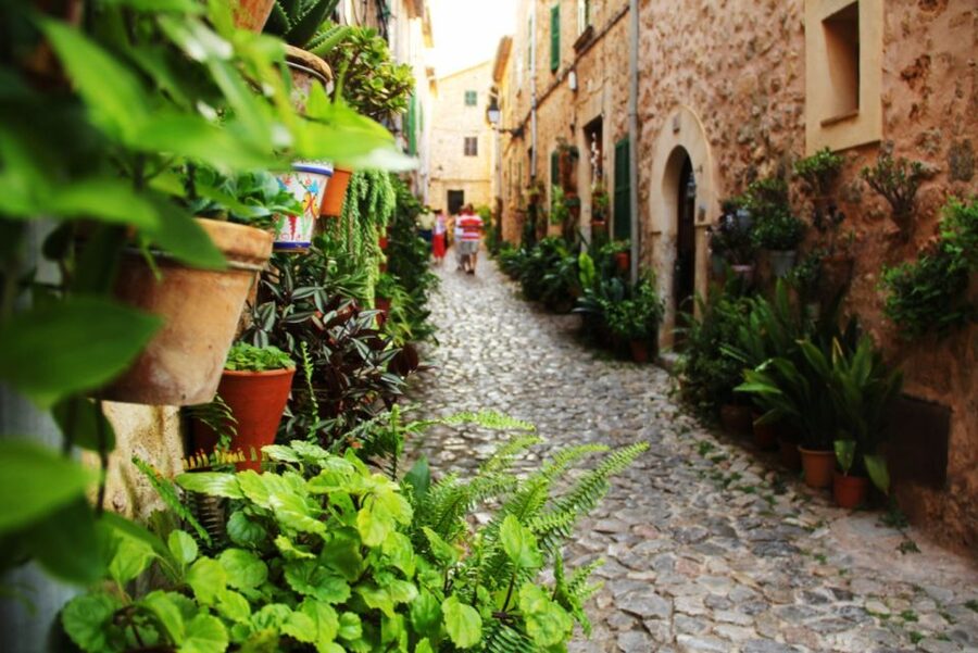 Valldemossa: Discover Valldemossa with a transfer from Palma - Your one-hour free time: how to spend it like a pro